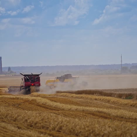 working harvesting combine