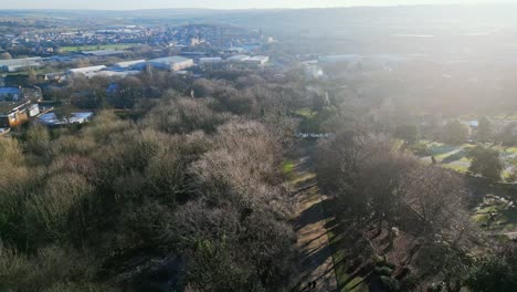 cinematic aerial drone footage of a public park taken from above