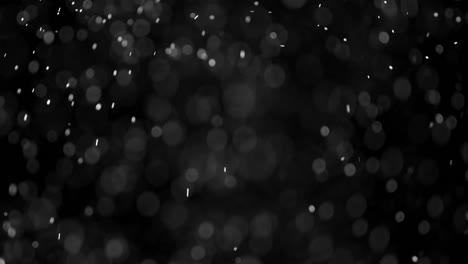 superposición de partículas de nieve en un fondo súper negro