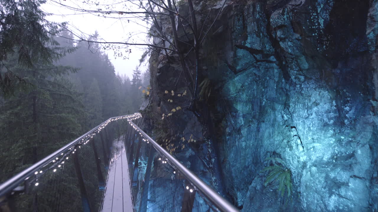 공원의 파란색 크리스마스 조명으로 장식된 통로, 변형