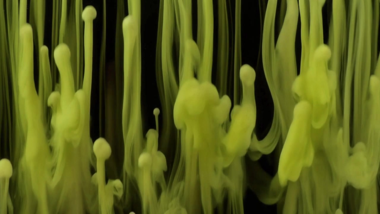 Yellow Ink Droplets Rising in Water Against Black Background