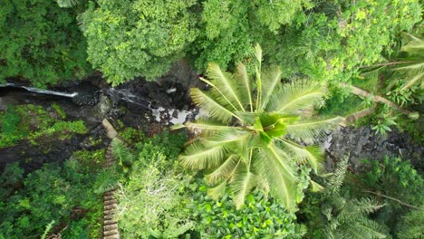 Grupo-De-Turistas-Caminando-Juntos-Haciendo-Turismo-En-Las-Piscinas-Naturales-De-La-Cascada-De-Gembleng-En-Los-Trópicos-De-La-Selva-Del-Pueblo-De-Sidemen,-Plataforma-Rodante-Aérea-Izquierda-De-Arriba-Hacia-Abajo