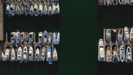 Docked-Yachts-And-Boats-At-The-Harbor-In-Marina-Del-Rey,-Los-Angeles,-California---Aerial-Top-Down