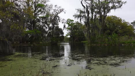 Parque-De-La-Ciudad-En-Un-Día-Nublado-En-Nueva-Orleans,-La