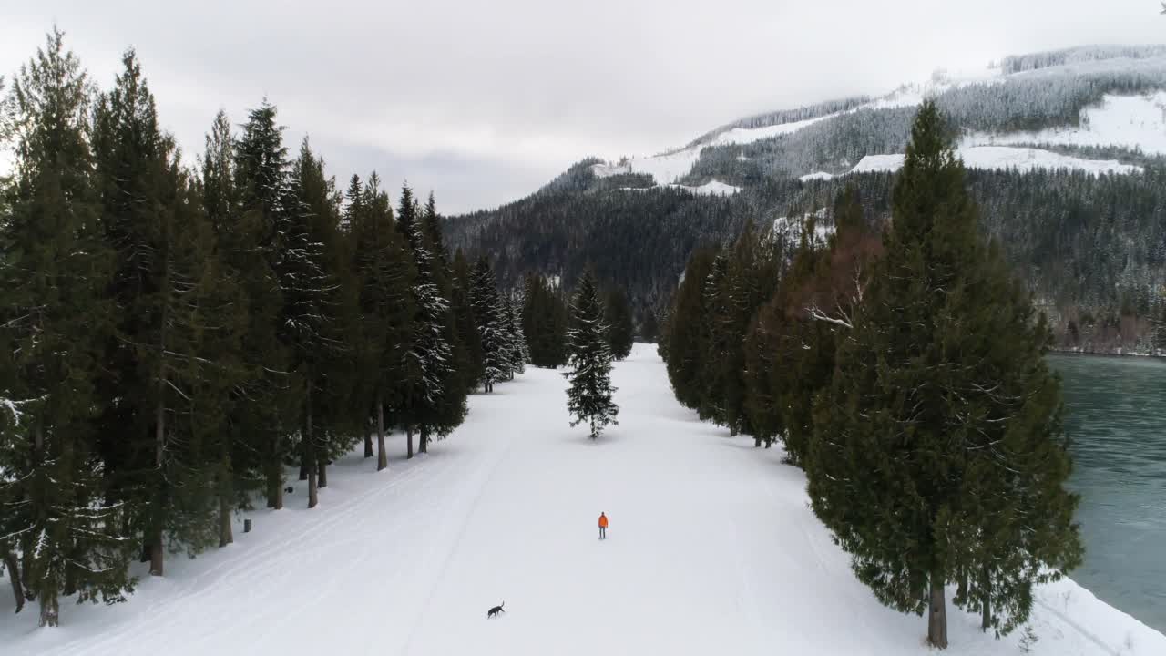 Uomo con cane che cammina in una foresta innevata 4k