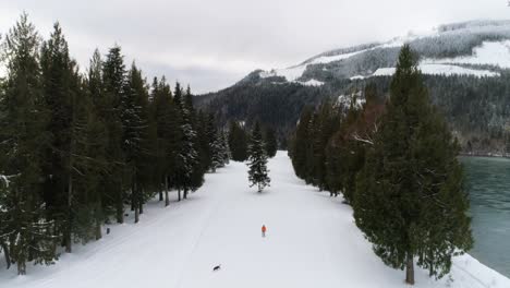 Mann-Mit-Hund-Geht-Im-Verschneiten-Wald-Spazieren-4k