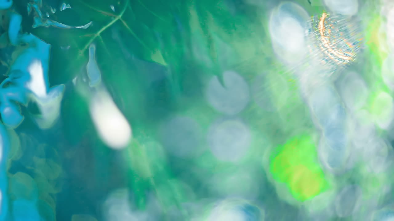 Sun under the tree. Beautiful sun when you look under the tree