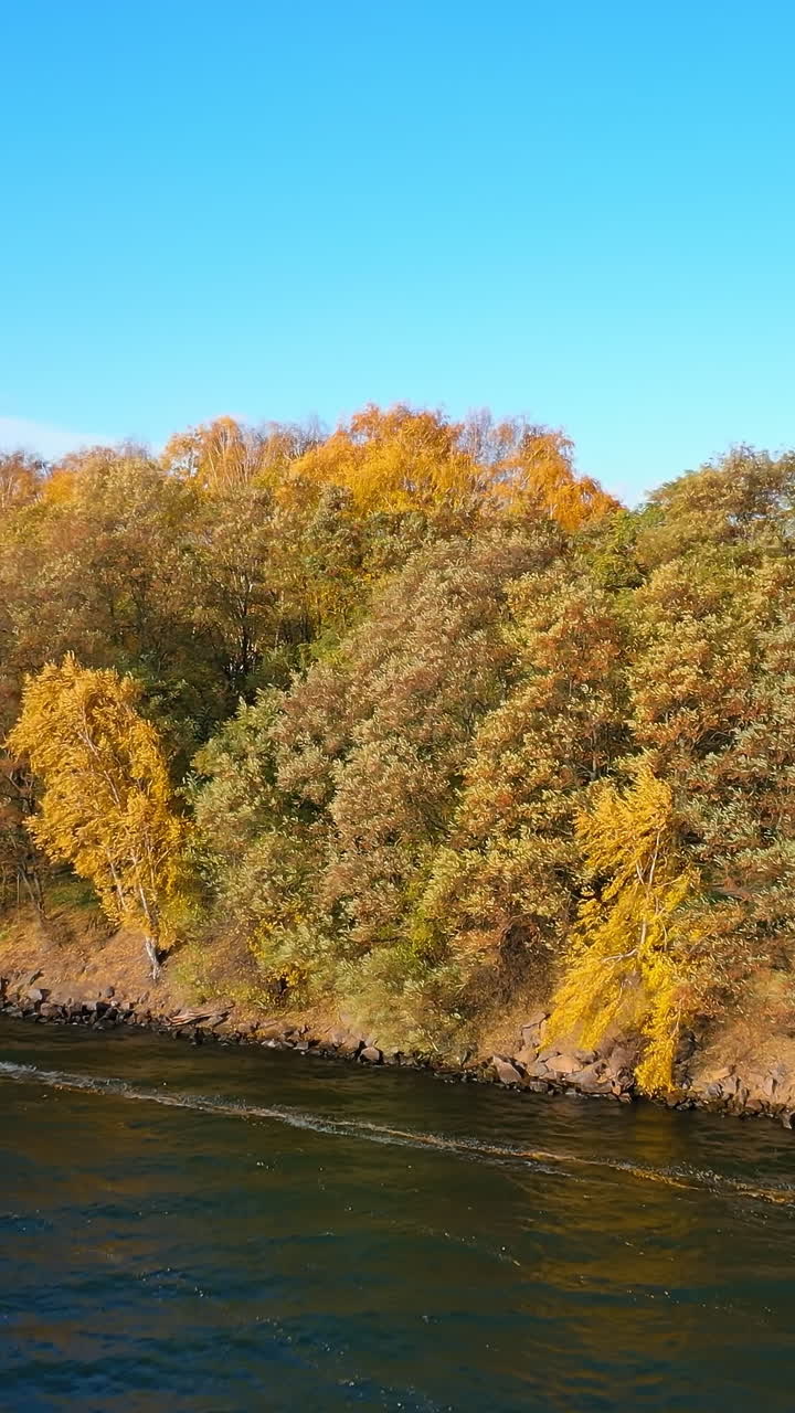 Aerial view of autumn forest and river. Aerial view of the river in the wild during the fall season