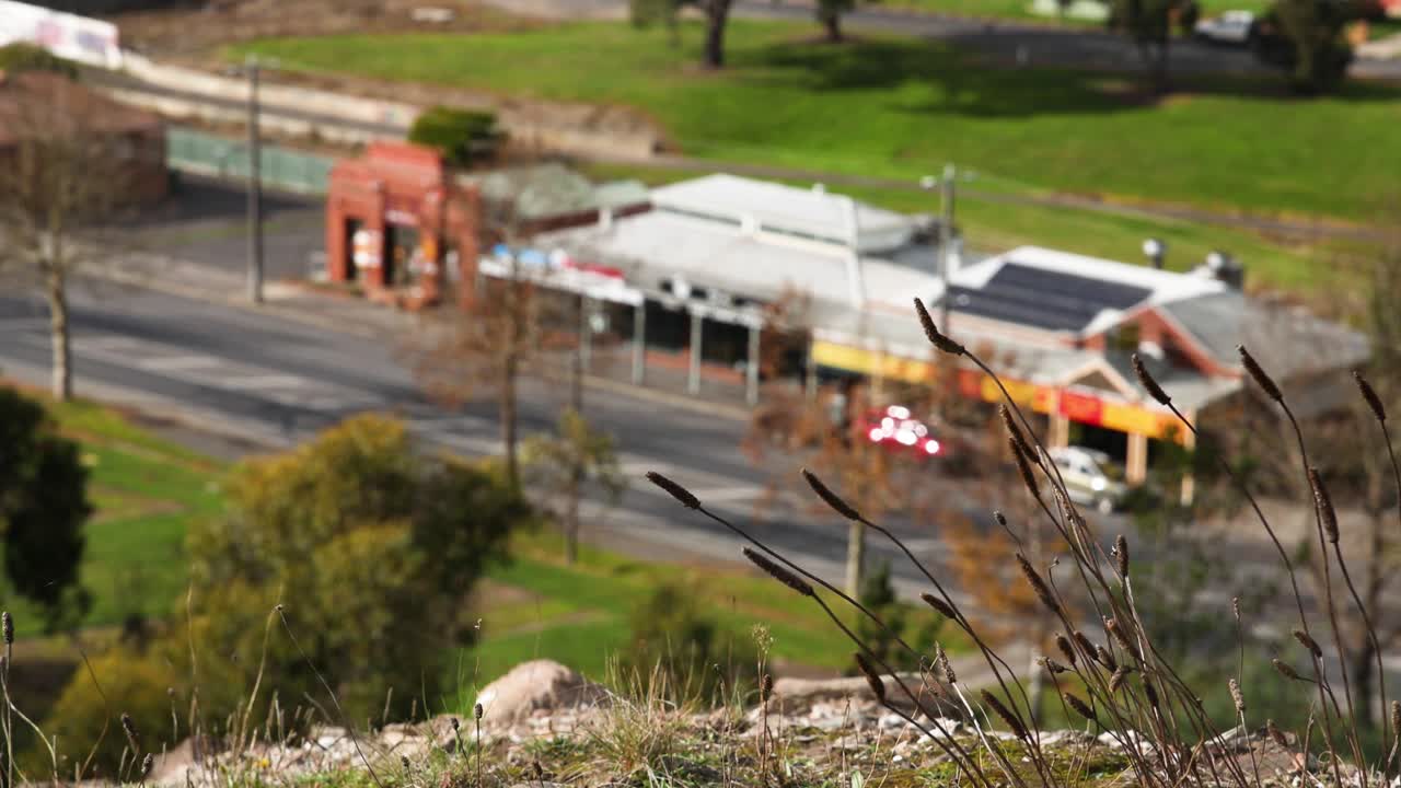 역사적인 건물 근처 에 흔들리는 여우 리 풀