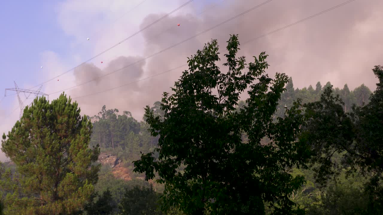 The smoke development of a forest fire can be seen in the distance
