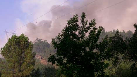 the smoke development of a forest fire can be seen in the distance