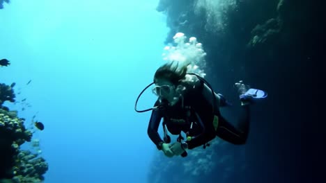 scuba diver exploring coral reef
