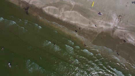 Top-down-birds-eye-view-drone-shot-people-surfing-on-coast-of-Denmark