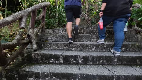 dos personas subiendo escaleras en un entorno exuberante