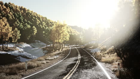 road-and-yellow-mountain-forest-at-sunset