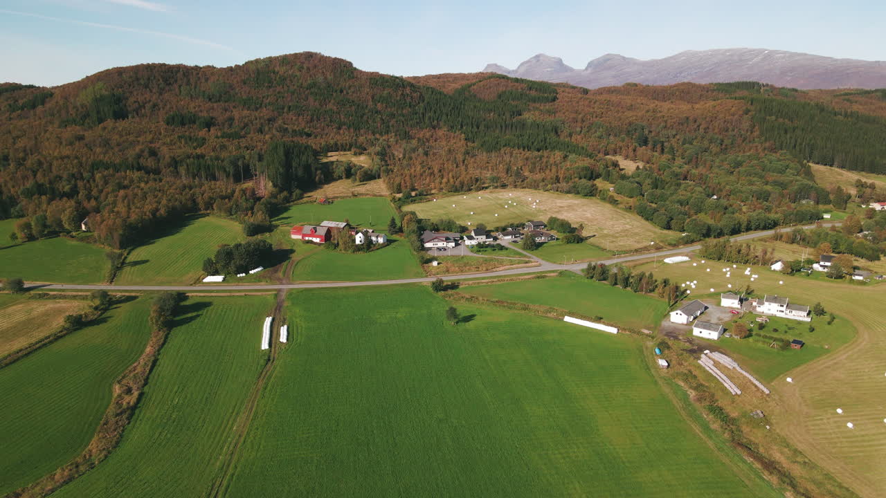 북부 노르웨이의 초록빛 농지, 총에 드론 돌리