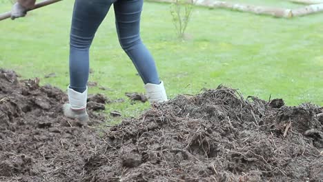 making compost in the garden with people stock footage stock photo