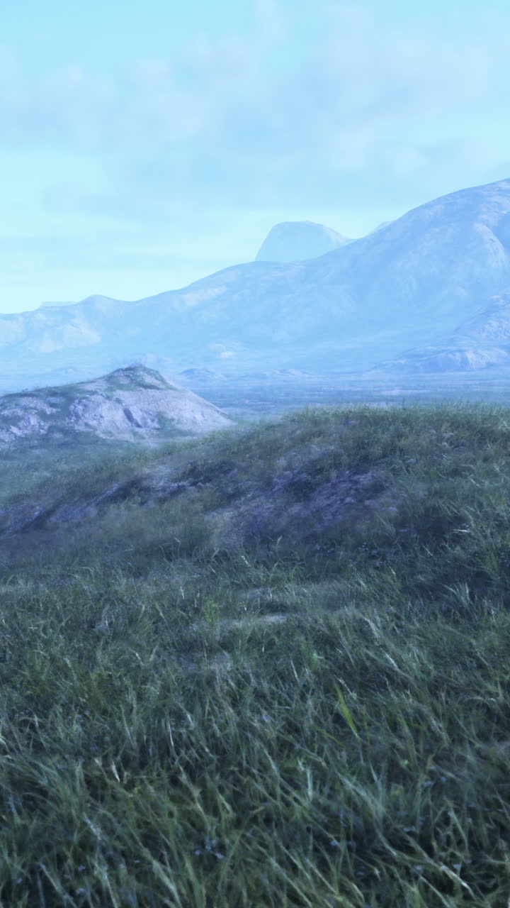 멀리서 산이 있는 잔디의 아름다운 풍경