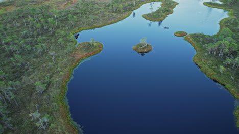 a large body of water surrounded by lush green trees