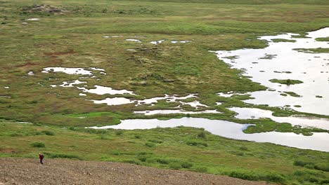 a man walks in a path near a large wetland