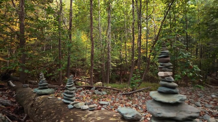 Cairn di pietre impilate che poggiano sulla corteccia di un albero nel Parco Nazionale di Shenandoah, Virginia, USA, mostrati in una vista ravvicinata di una disposizione di rocce in equilibrio in un ambiente forestale.