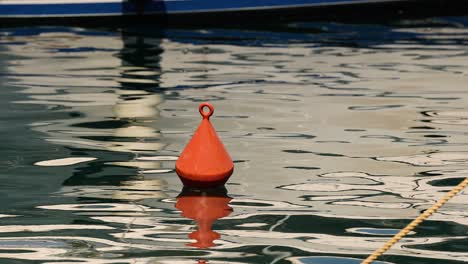 red buoy floating on calm water surface