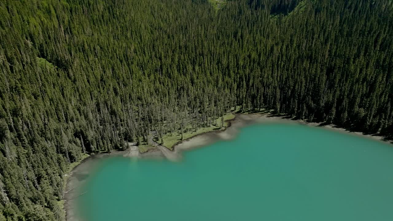montañas densamente boscosas en el parque provincial de los lagos joffre con un pico nevado al fondo en columbia británica, canadá
