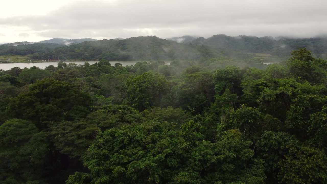 pequeña torre de señales con paneles solares en un denso bosque nublado, vista aérea