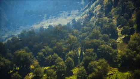 Toma-De-Un-Arroyo-En-Medio-De-Bosques-Verdes-Rodeados-De-Colinas