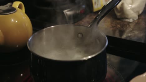 canada - delicious dumplings slowly puts on the boiling hot water in a deep pan  - close up shot