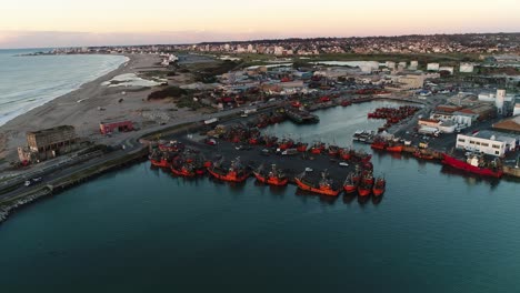 the port of the city of mar del plata