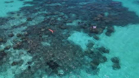 seychelles la digue snorkeling pareja aérea drone3.mp4