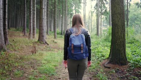 una joven está viajando sola por un camino del bosque de otoño.