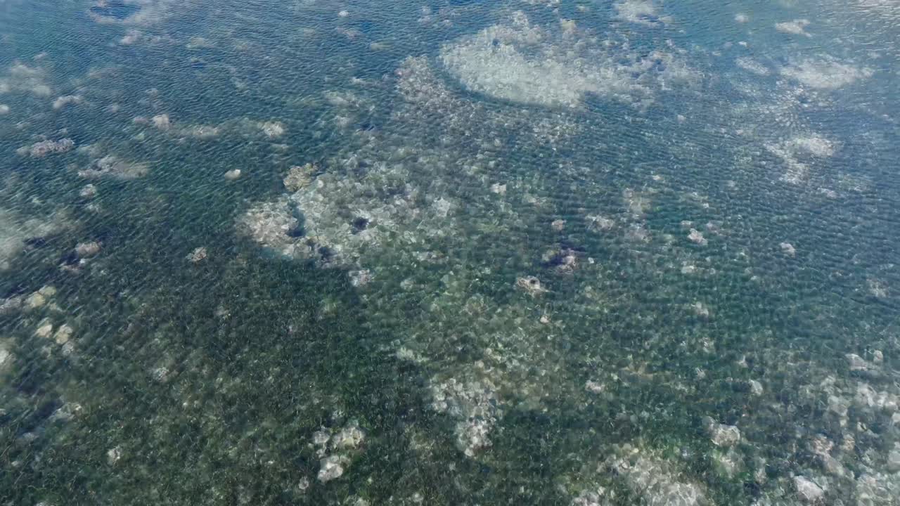 un avión no tripulado se desplaza lentamente a lo largo del patrón de arrecife de coral verde en uluwatu bali, indonesia