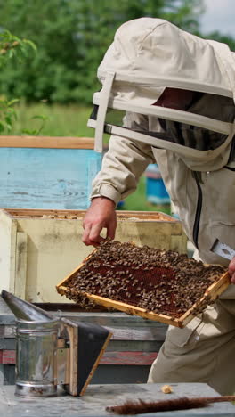 farmer holds the frame in hands. beekeeper holding beehive frame. vertical video
