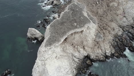 Aerial-Birds-Eye-View-Of-Rock-Surrounded-By-Ocean-Waves-Home-To-Colony-Of-Wild-Birds