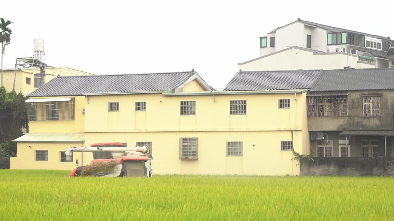 시골 시골 대만의 경작 논에서 다기능 논 수확 기계 쌀 수확기 트랙터로 작물을 수확하는 농부를 캡처하는 영화 축소 샷