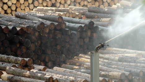 water sprayer in the wood store to retain humidity