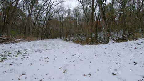 pov from the rear of all terrain vehicle atv while driving on a snow covered trail along a stream through the woods on an early winter afternoon; game cameras are visible; point of view