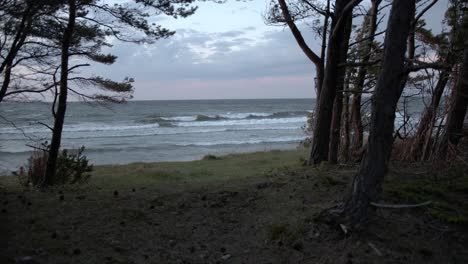 Stormy-sea-scene-with-waves-gushing-towards-the-forested-shoreline-in-slow-motion,-fir-trees-in-wind,-wide-shot