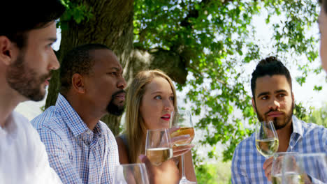 Gruppe-Von-Freunden,-Die-Beim-Weintrinken-Miteinander-Interagieren