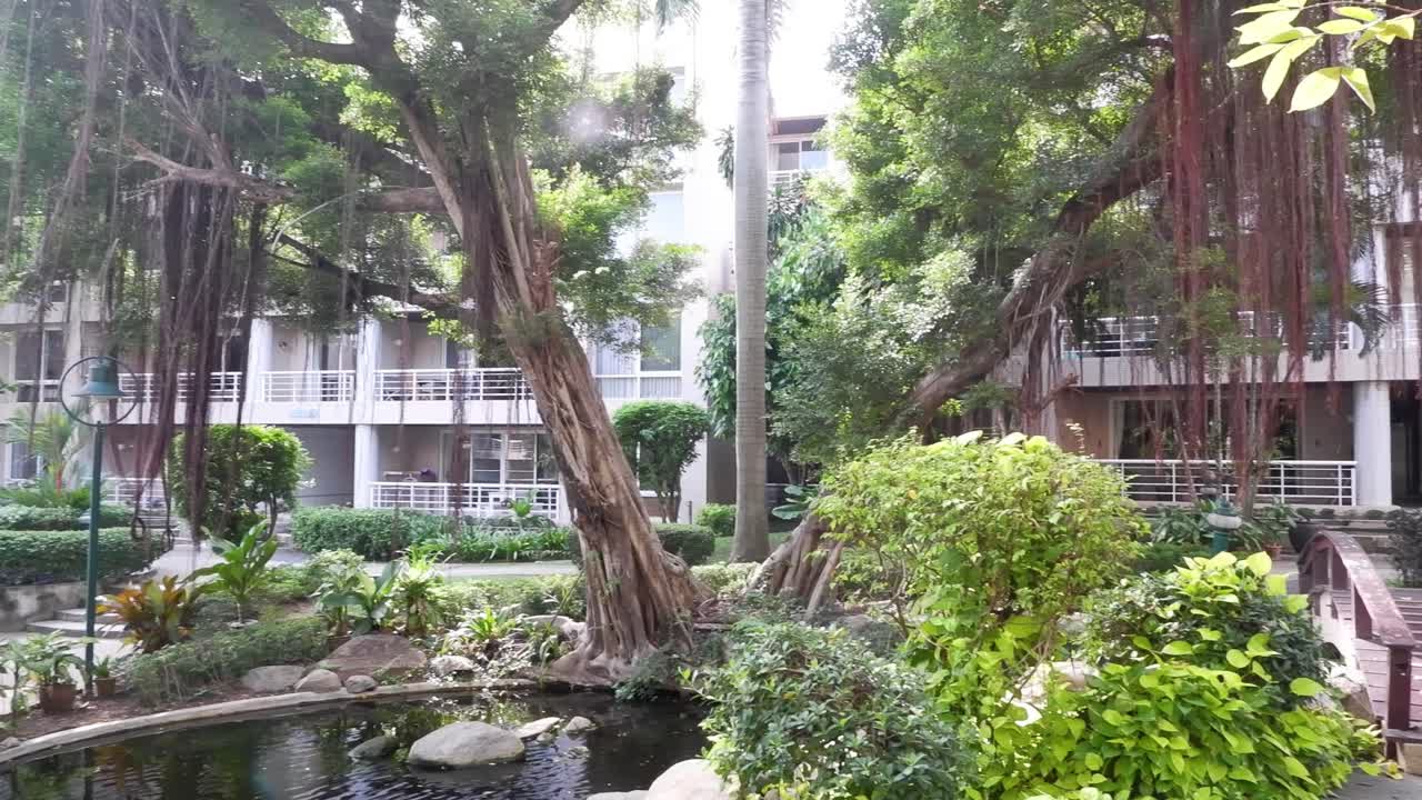 Serene outdoor setting with lush greenery and pool