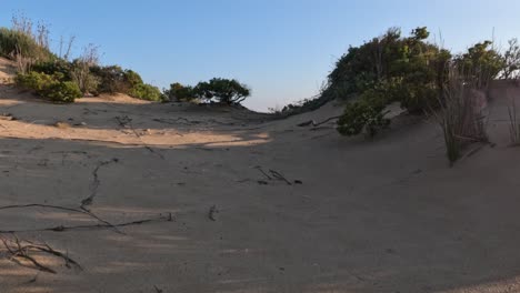 walking through sand dunes towards the ocean