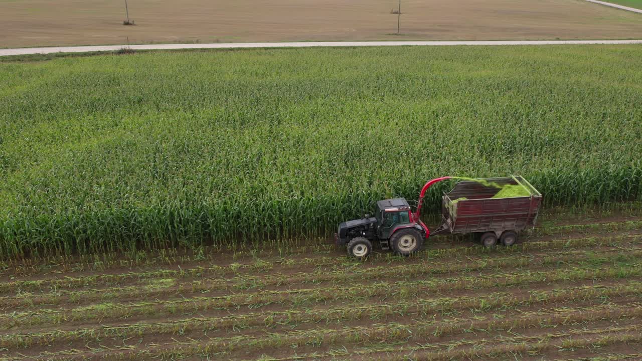 옥수수 파쇄기가 있는 트랙터, 바이오매스를 위해 들판에 옥수수를 부수고, 공중 전망