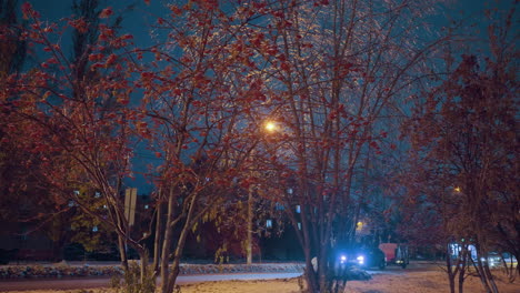 frosty autumn trees with red berries and ice-covered branches illuminated by golden light under deep blue sky, passing car headlights with glowing reflections carrying something behind