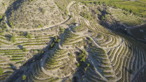 aerial of winery hills in the colchágua valley, chile