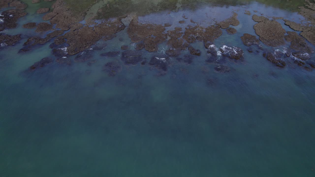 el océano en calma reveló la exuberante selva tropical de la tribulación del cabo en el parque nacional de daintree, en el norte de queensland, australia