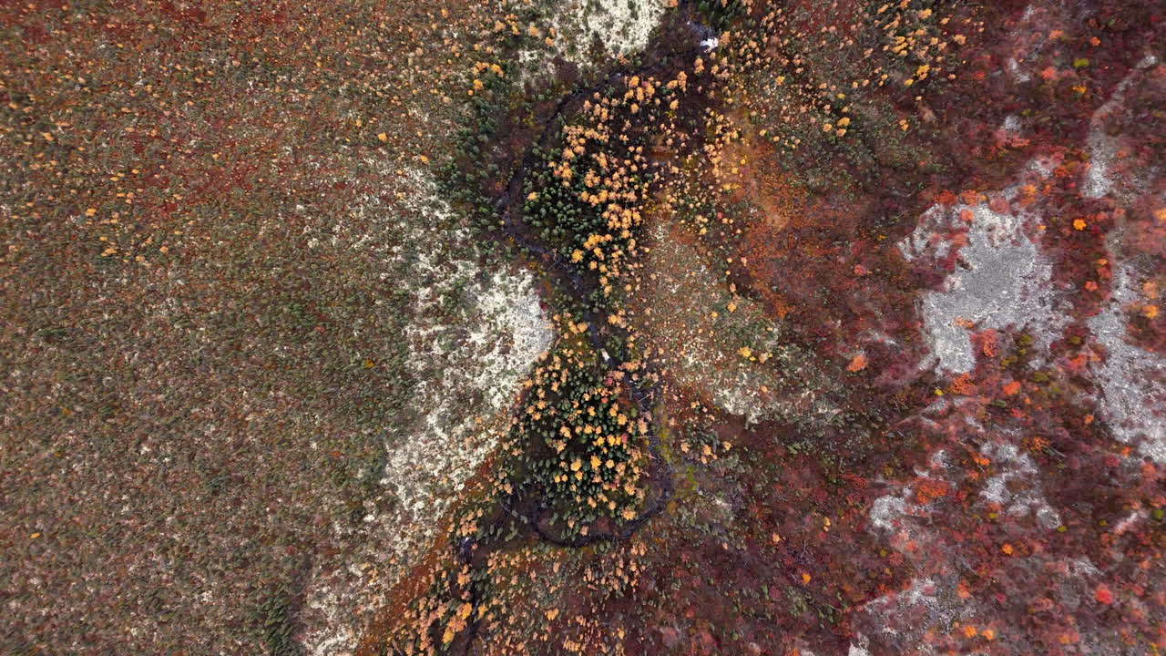 Aerial View of Autumn Tundra Landscape