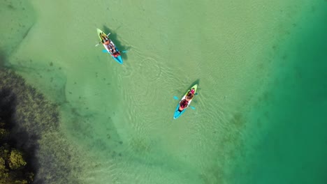 Aerial-birds-eye-over-people-kayaking-in-sunny-day