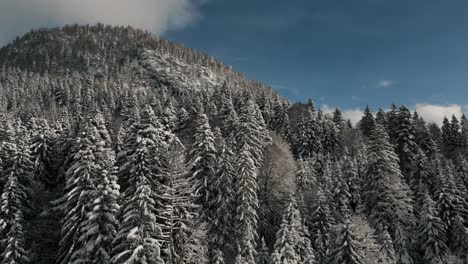 Cresta-De-La-Montaña-En-Un-Paisaje-Nevado-Con-Luz-Solar,-Nieve-Y-Cielo-Azul